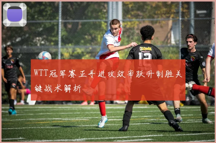 WTT冠军赛正手进攻效率跃升制胜关键战术解析