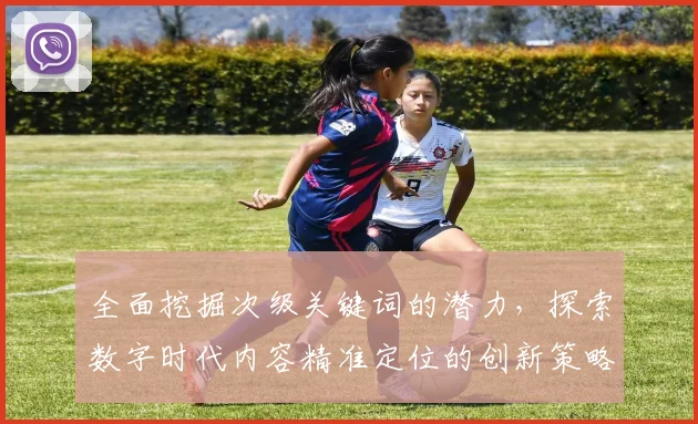 全面挖掘次级关键词的潜力，探索数字时代内容精准定位的创新策略